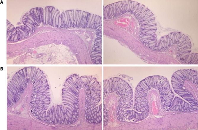 Figure 25