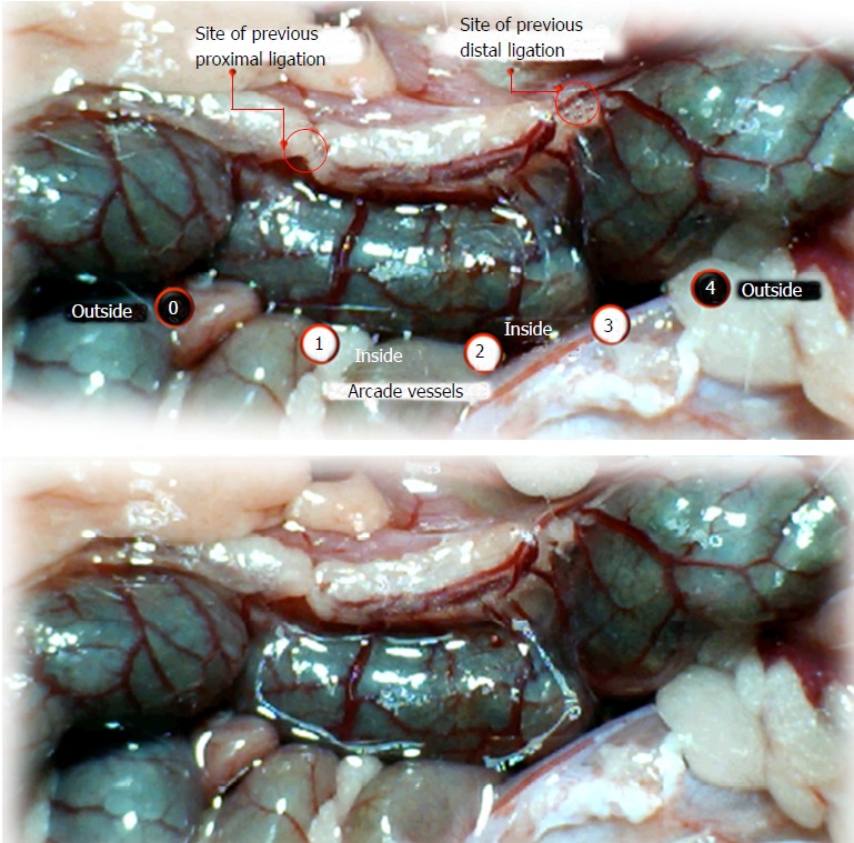 Figure 9