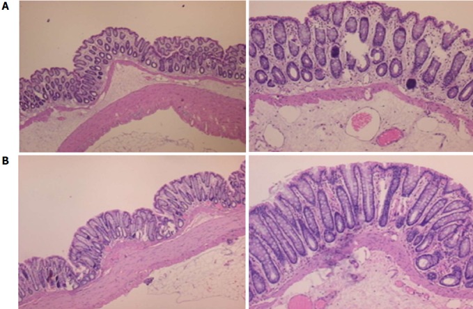 Figure 23