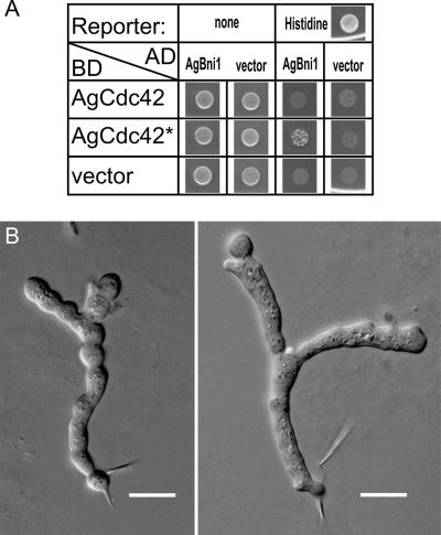 Figure 9.