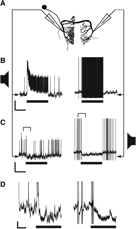 FIG. 9.