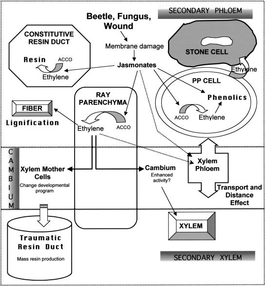 Figure 9.