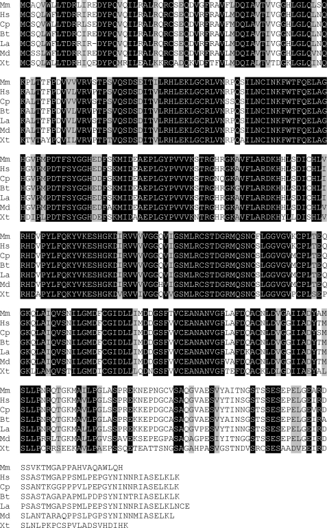 FIGURE 1.