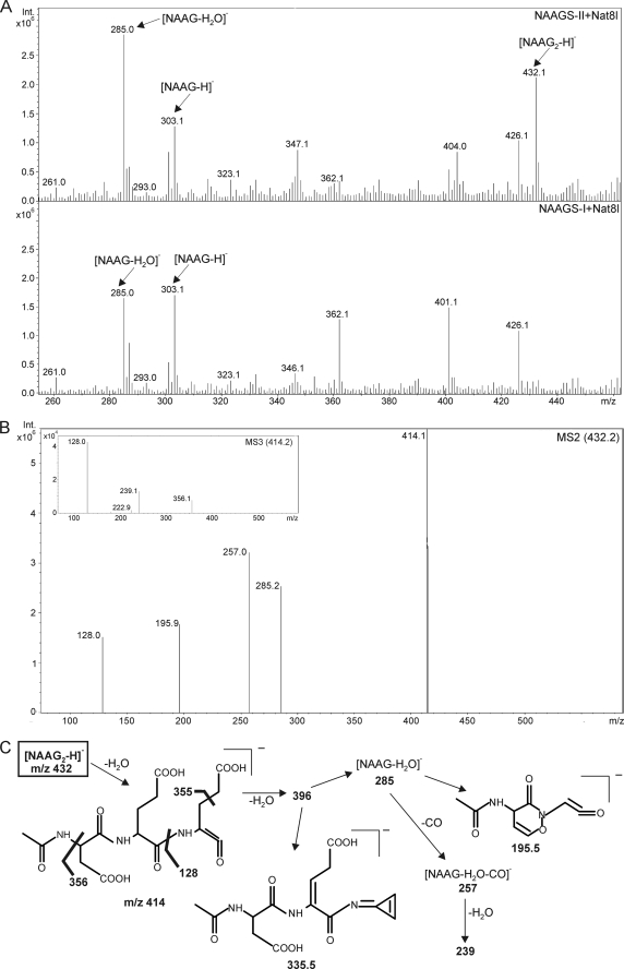 FIGURE 4.