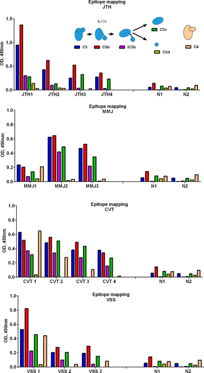 FIGURE 4.