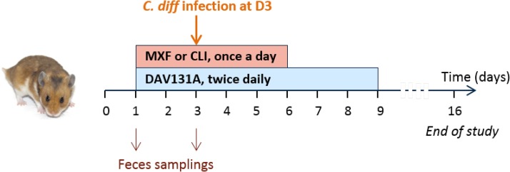 FIG 1