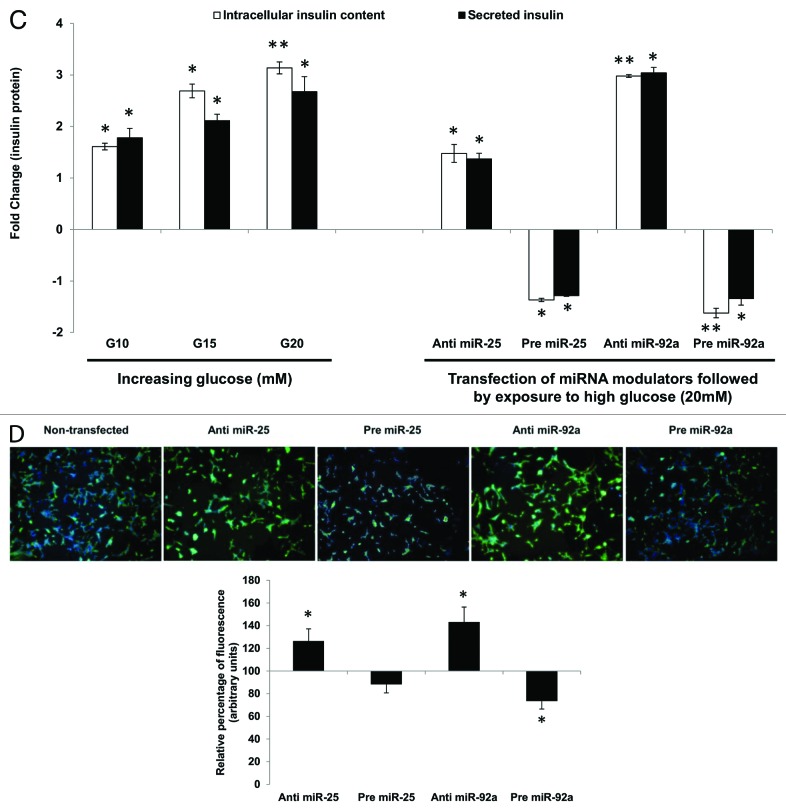 graphic file with name rna-10-1365-g2C_D.jpg