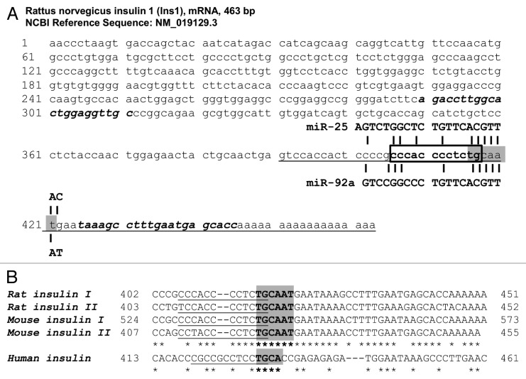 graphic file with name rna-10-1365-g1.jpg