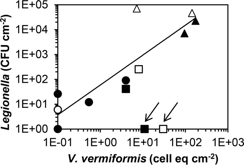 FIG 6