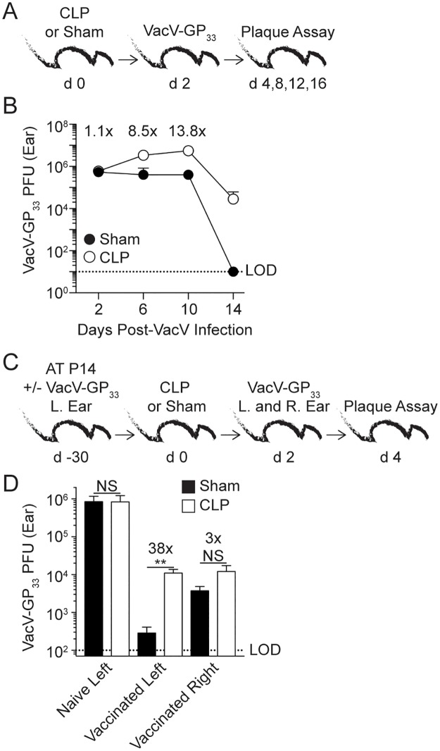 Fig 9