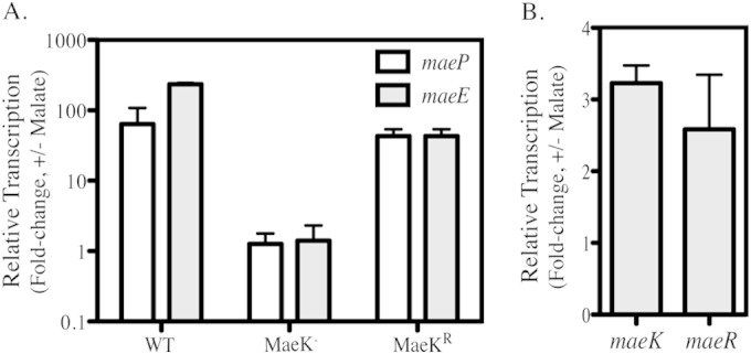 FIG 3