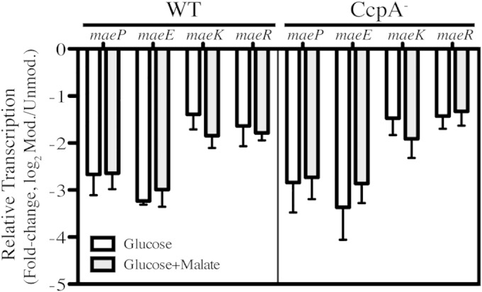 FIG 4