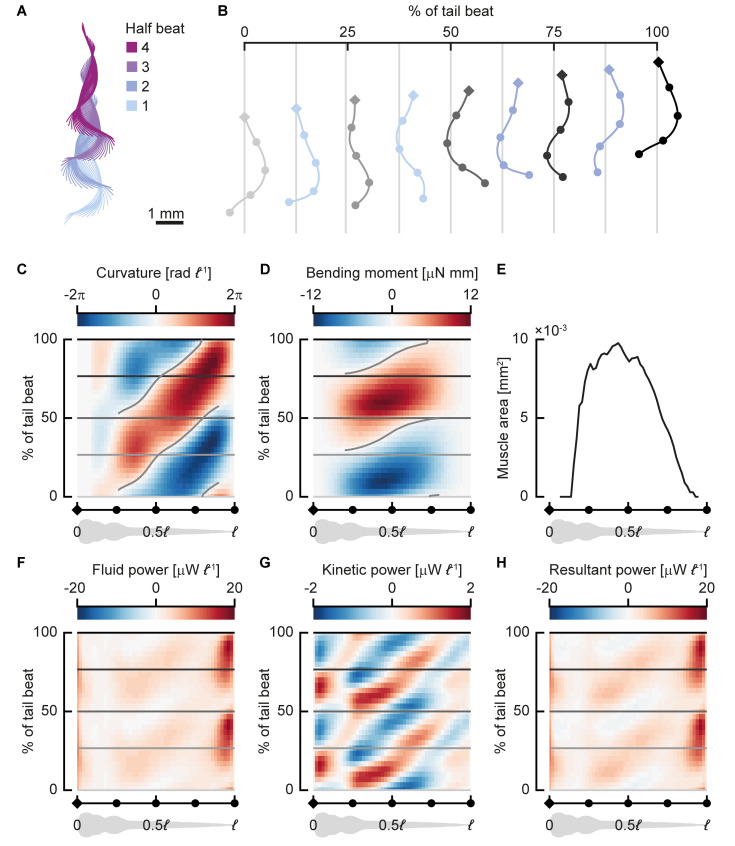 Fig 4