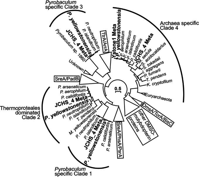 FIG 7