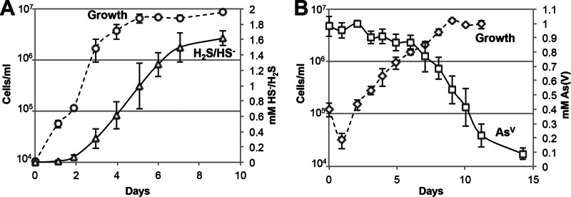 FIG 1