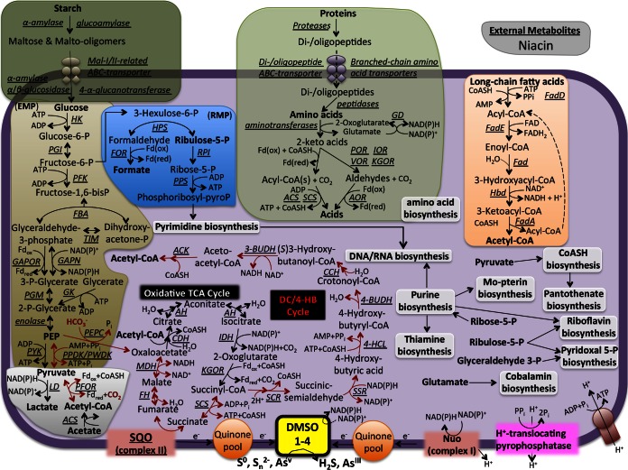 FIG 6