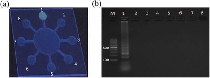 Fig. 7