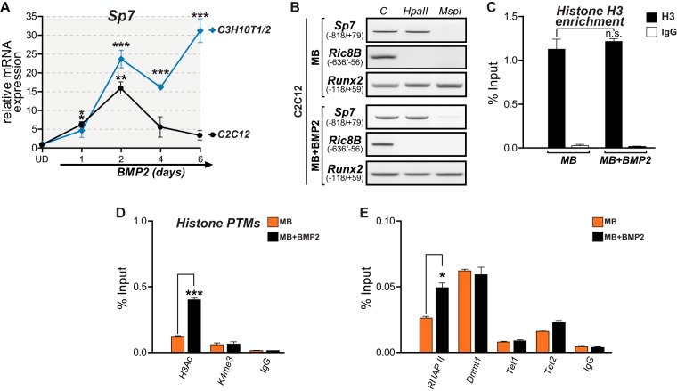 FIG 6