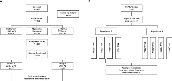 Figure 1