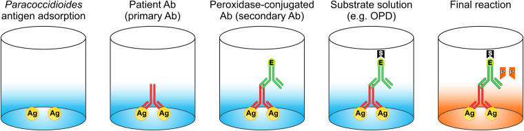 FIG 14