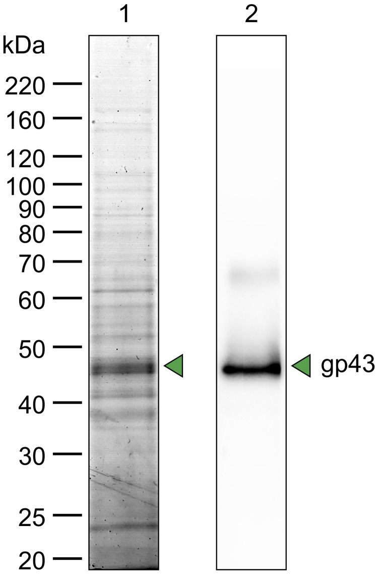 FIG 15