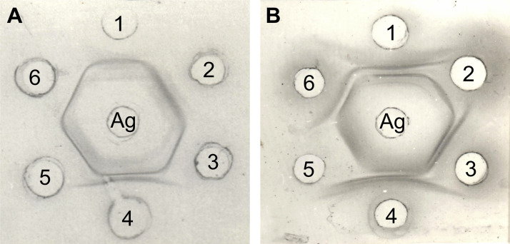 FIG 13