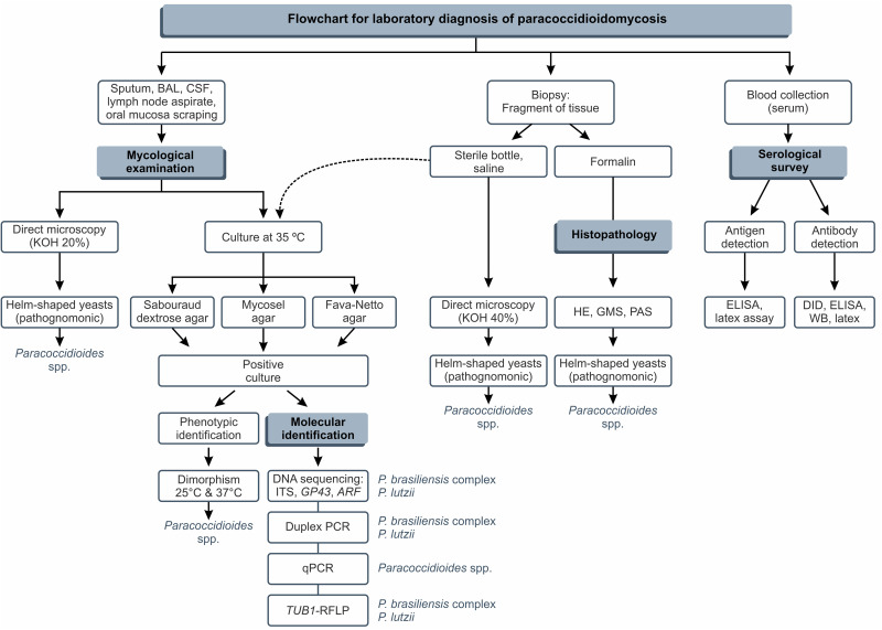 FIG 10