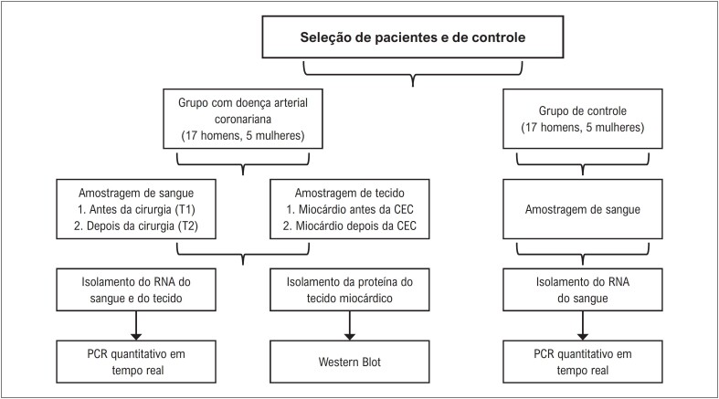 Figura 1