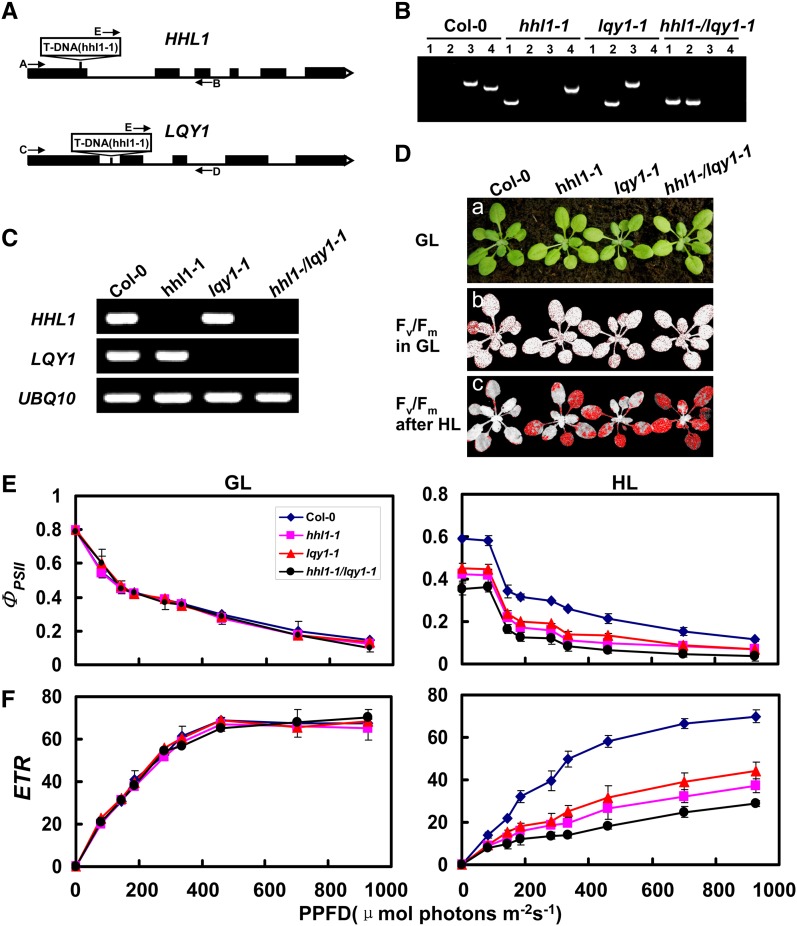 Figure 10.