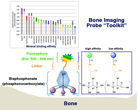 graphic file with name nihms827820f7.jpg