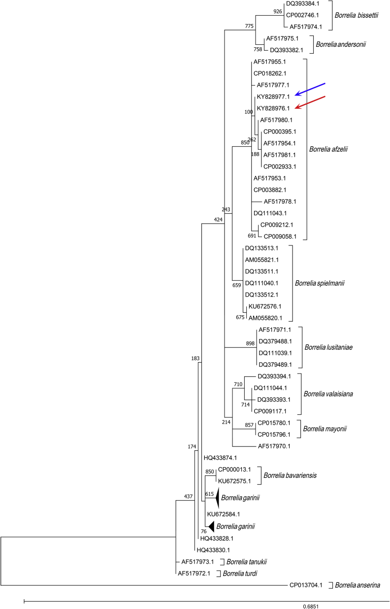 Fig. 4