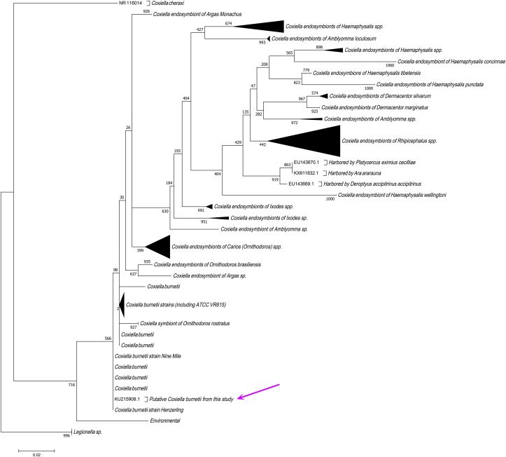 Fig. 3