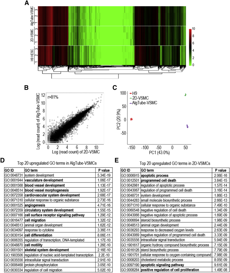 Figure 4