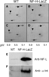 Figure 11.