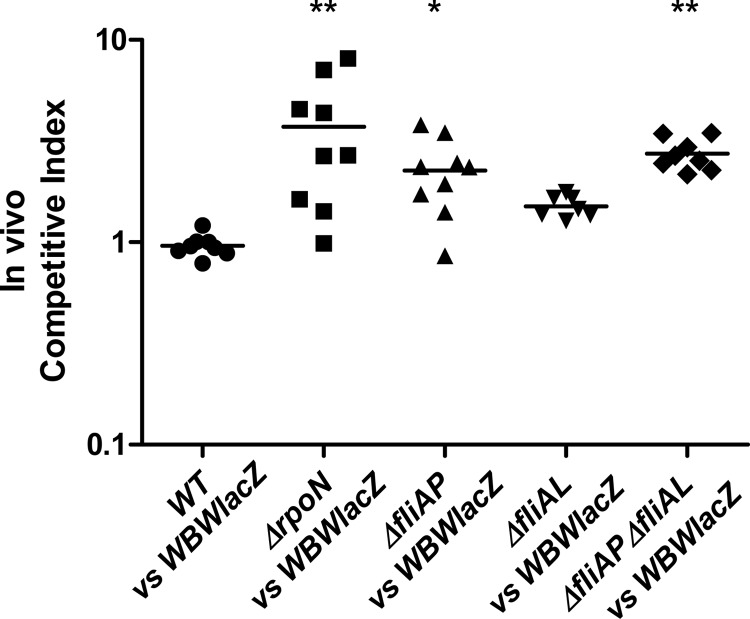 FIG 3