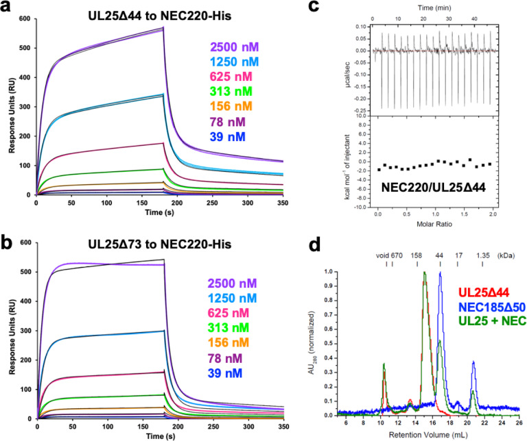 Figure 1—figure supplement 1.