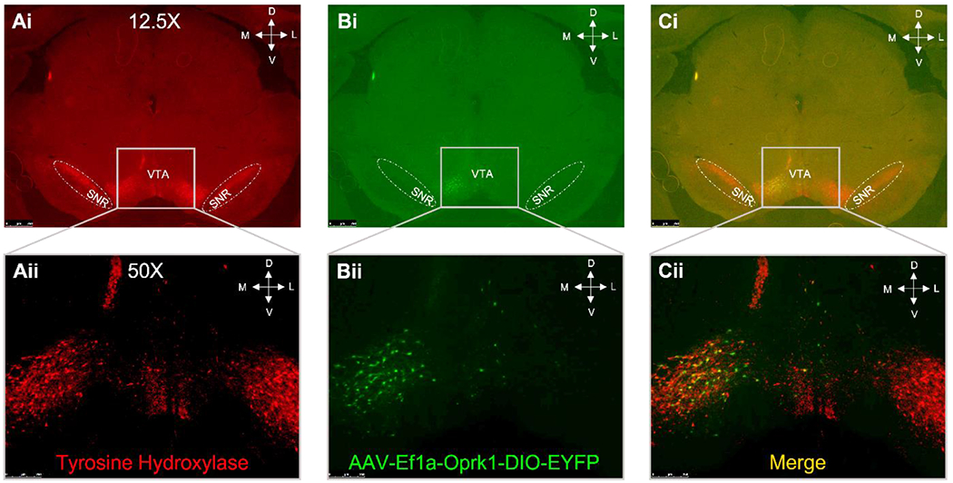 Figure 2: