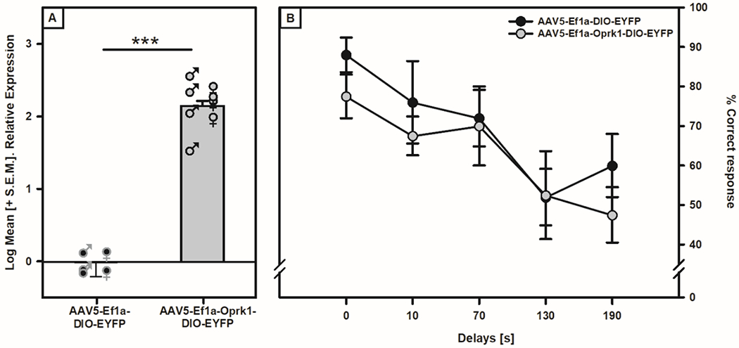 Figure 5: