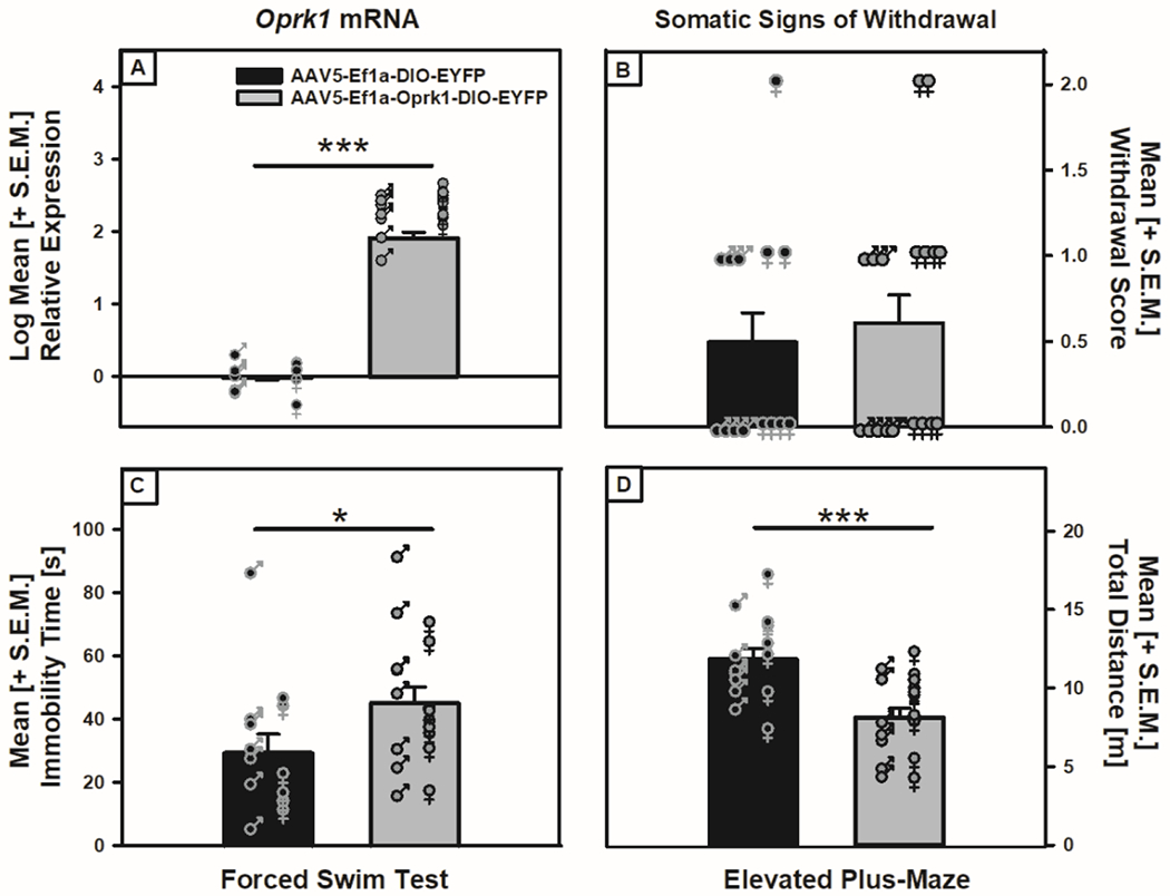 Figure 4: