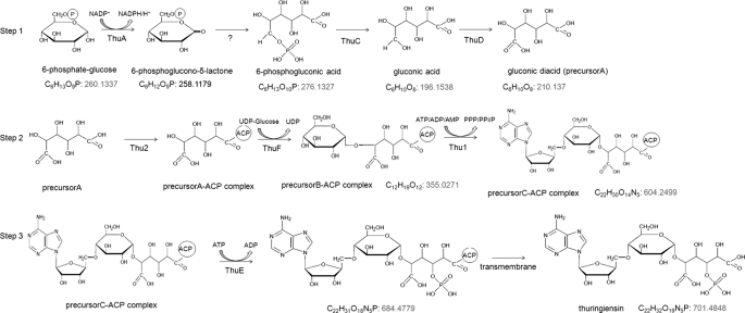 FIGURE 4.