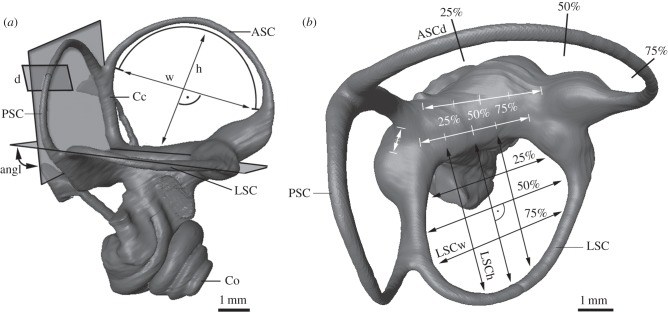 Figure 1.