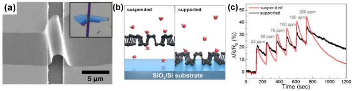 Figure 22