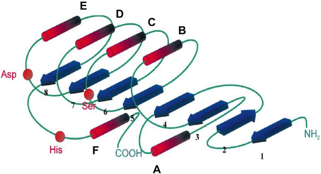 FIGURE 2