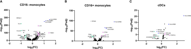 Figure 6