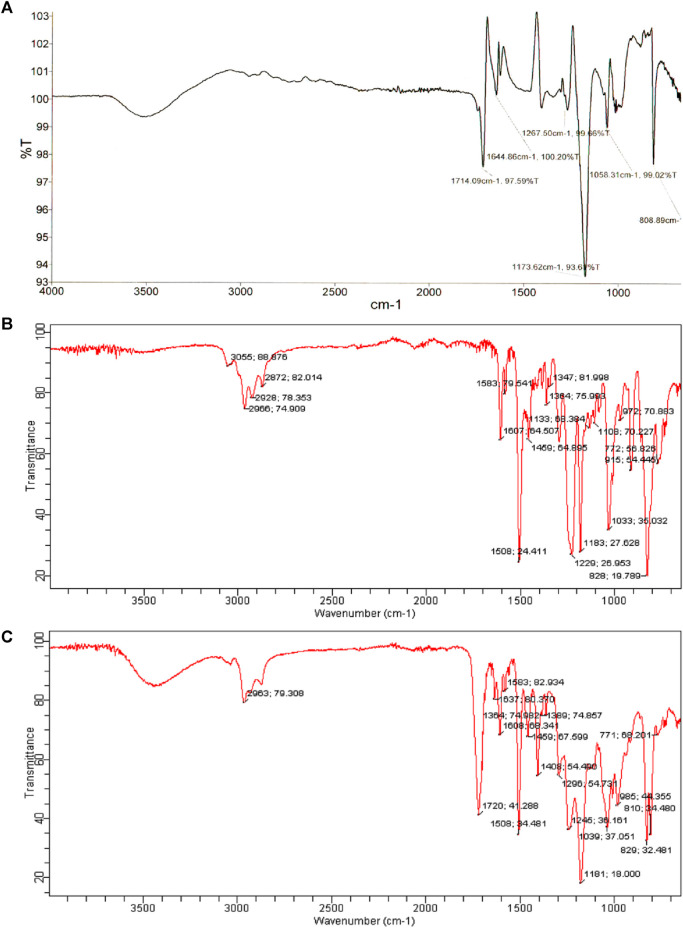 FIGURE 3