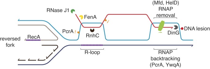 Figure 4.