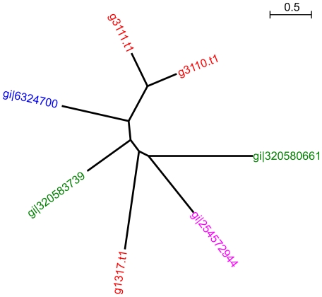 Figure 7