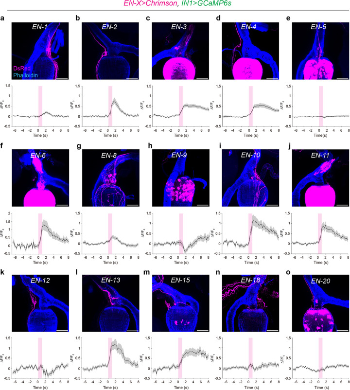 Extended Data Fig.4|
