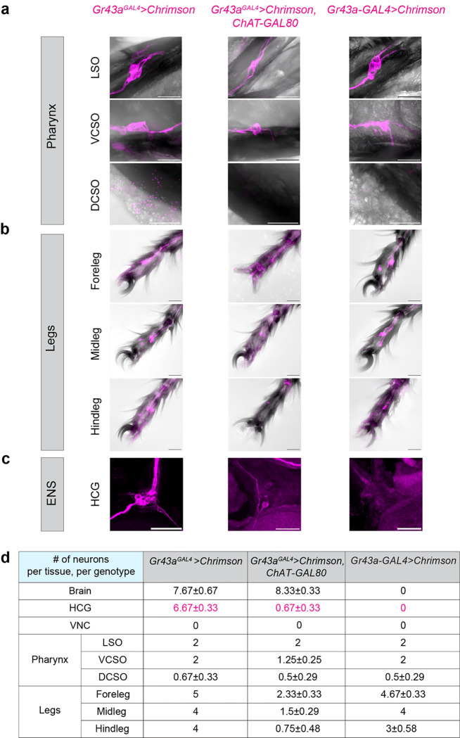Extended Data Fig.2|