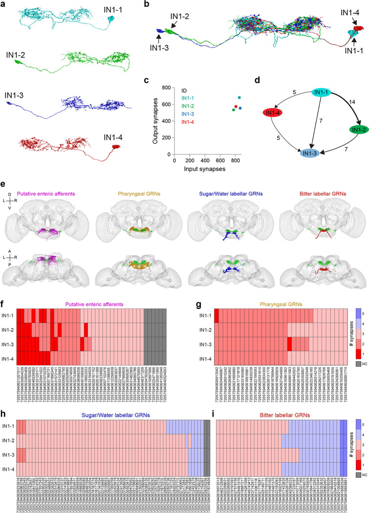 Extended Data Fig.5|
